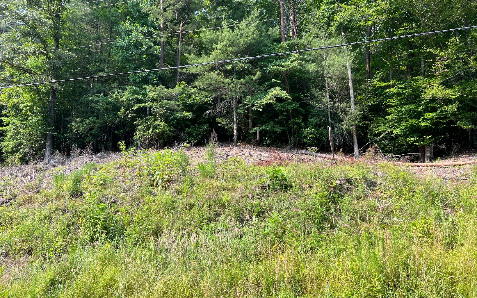 326039 Hayesville Vacant Lot