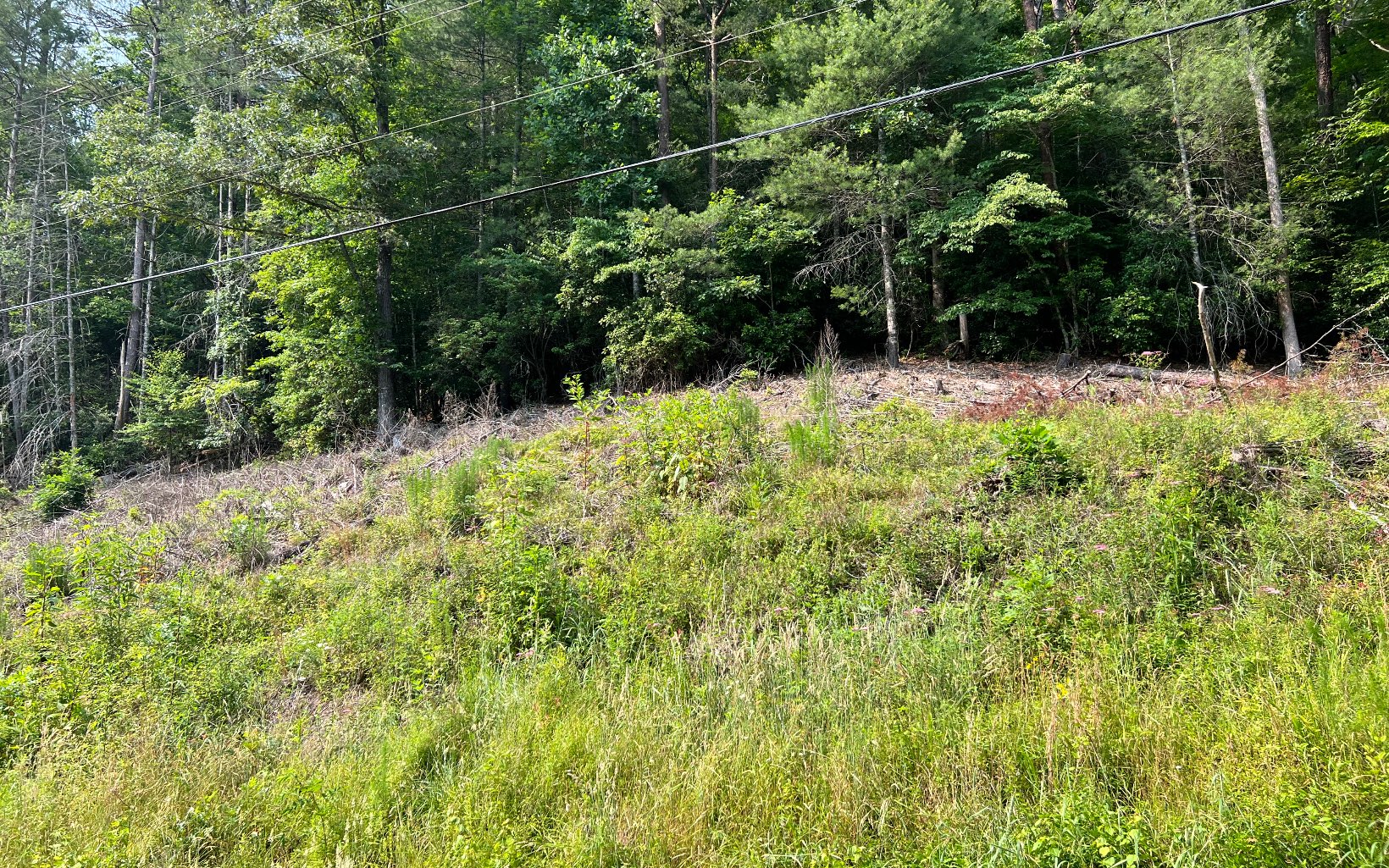 326039 Hayesville Vacant Lot