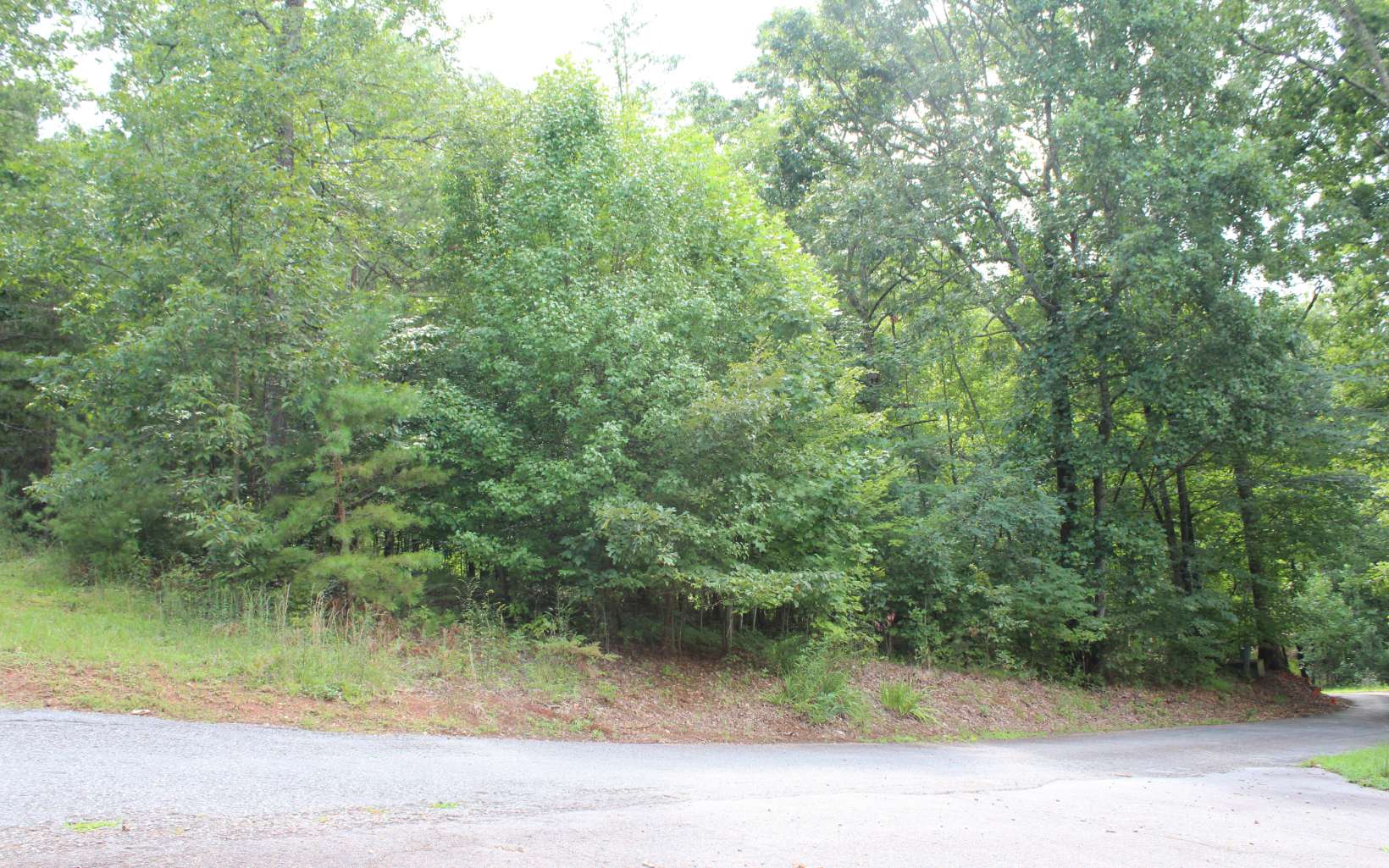 327062 Hayesville 