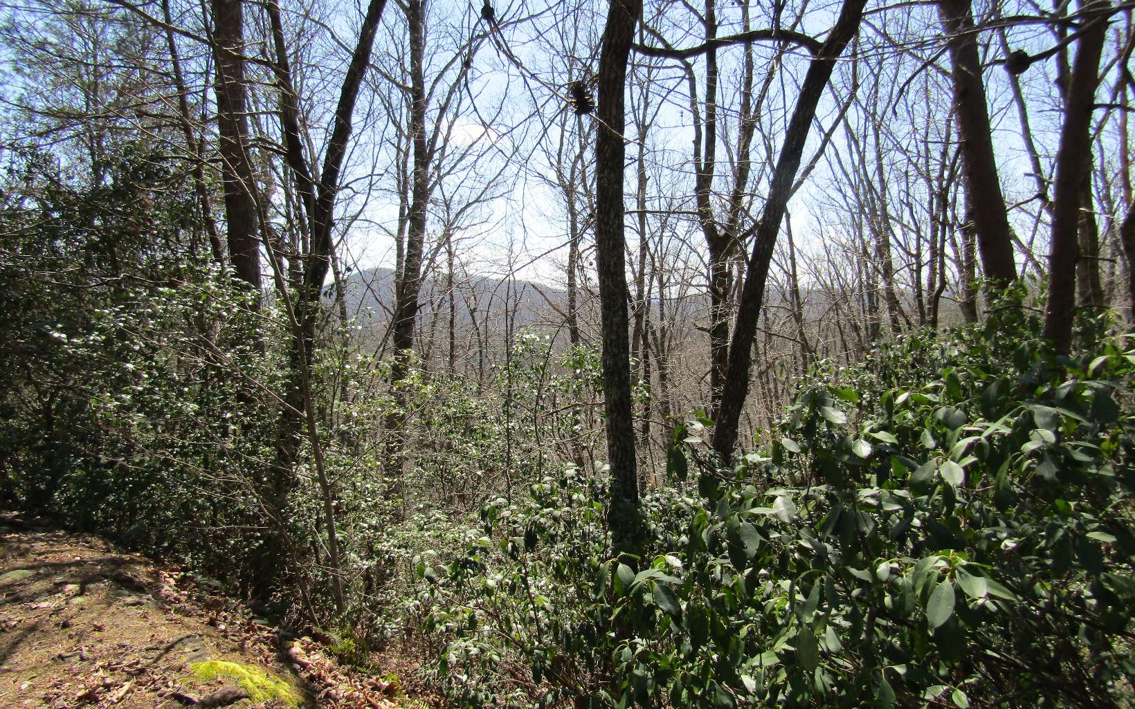 328277 Hayesville 