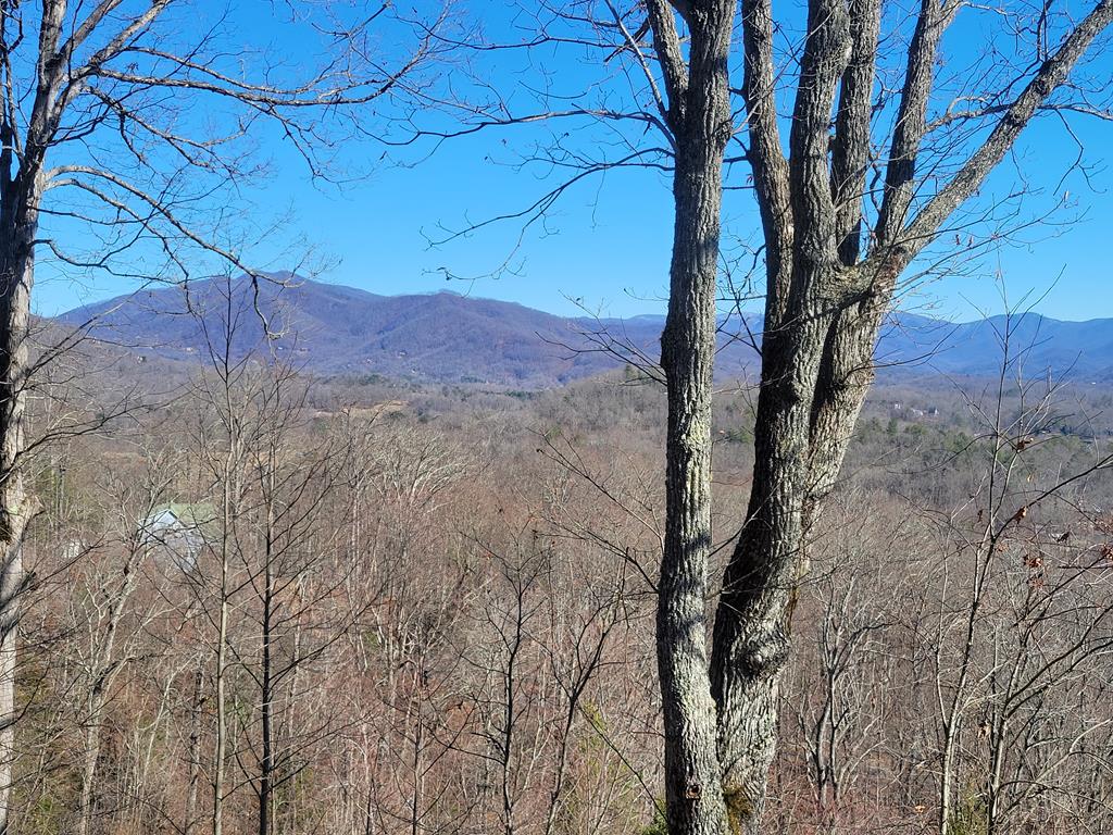 401318 Hayesville Residential