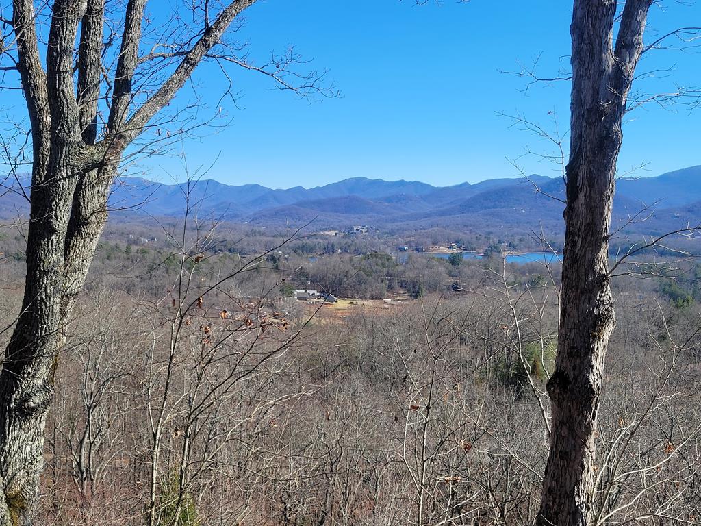 401318 Hayesville Residential