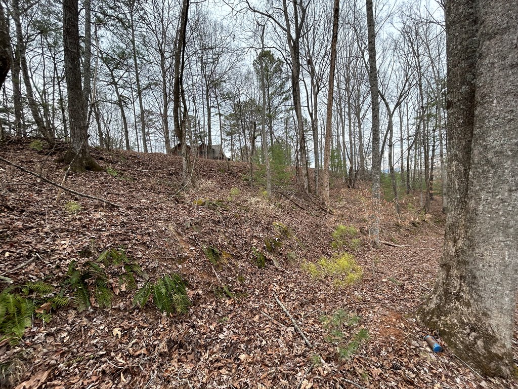 401328 Ellijay Vacant Lot