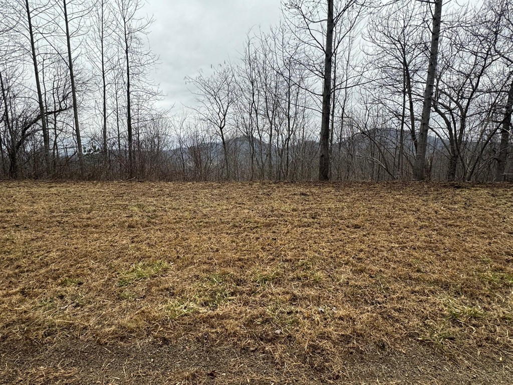 401387 Young Harris Vacant Lot
