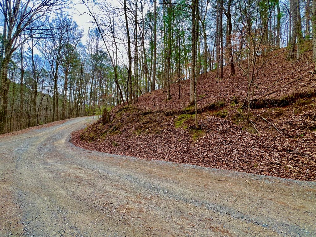 401404 Ellijay Land