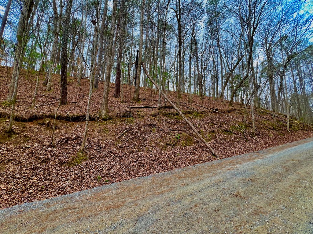 401404 Ellijay Land