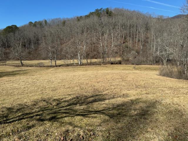 401527  Land
