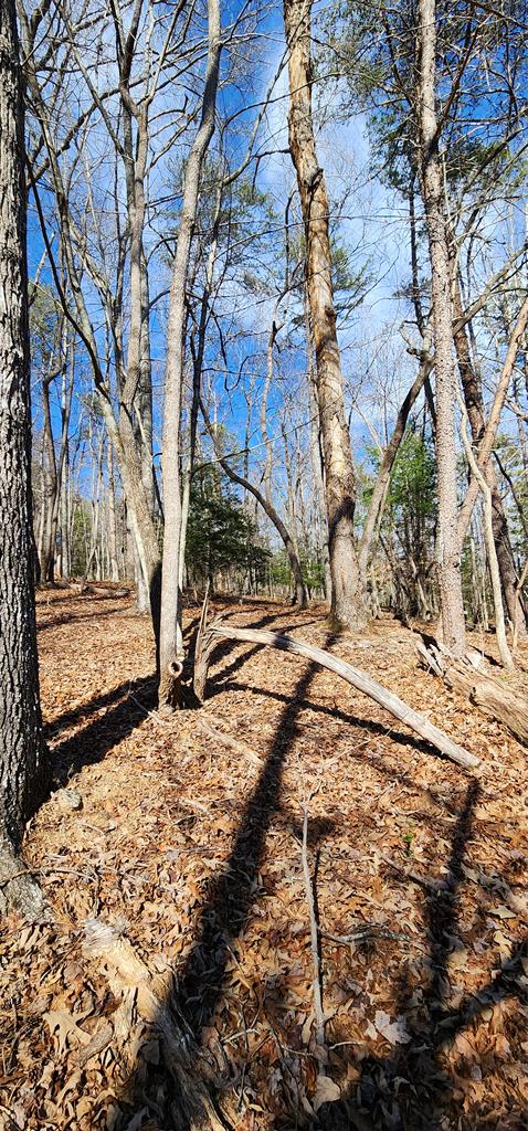 401598 Ellijay Vacant Lot