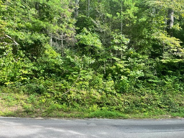 401636 Hiawassee Land