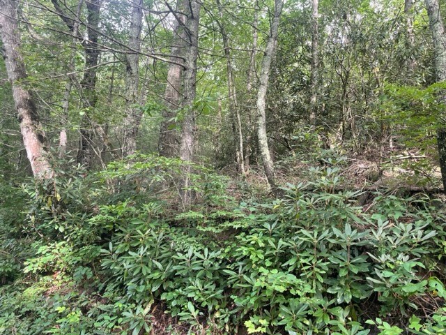 401636 Hiawassee Land