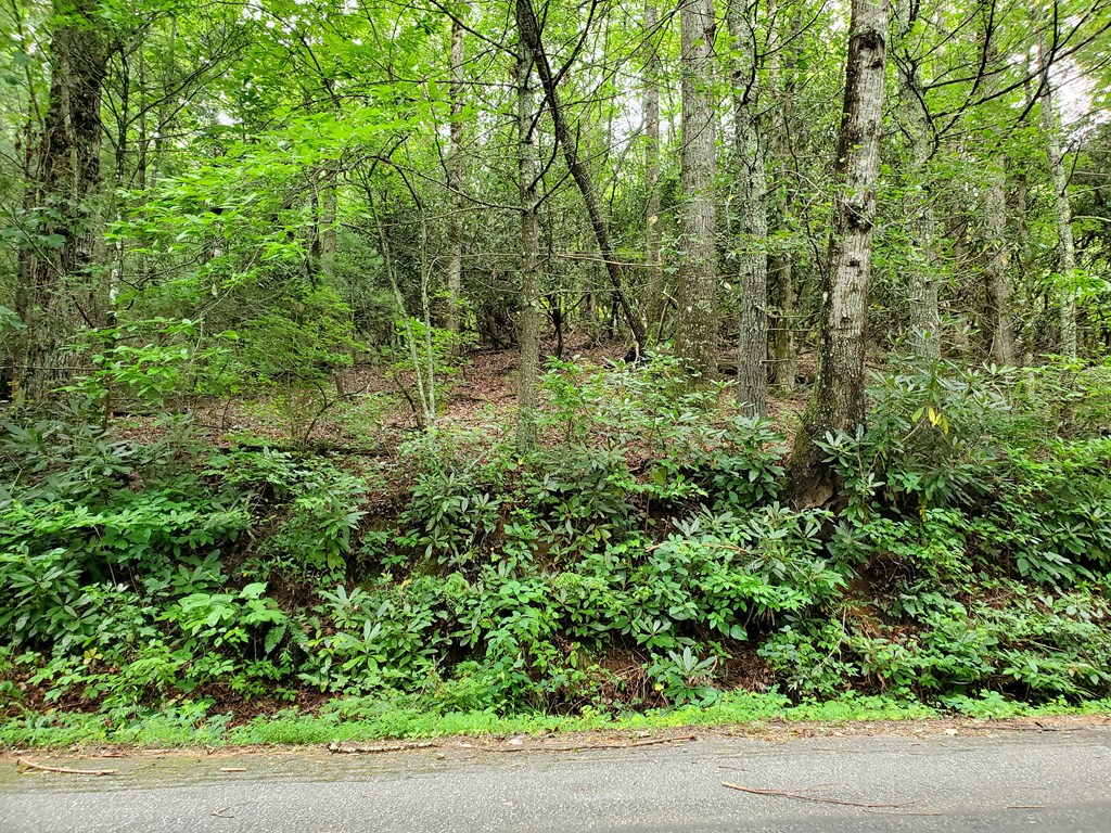 401636 Hiawassee Land