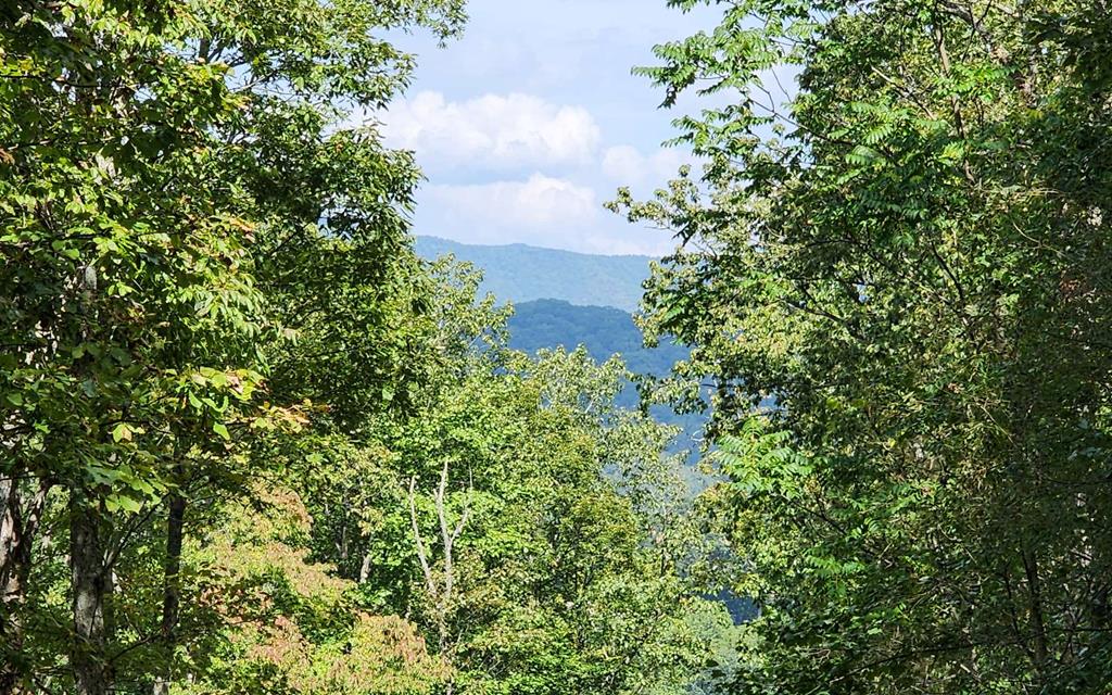 402681 Hayesville 