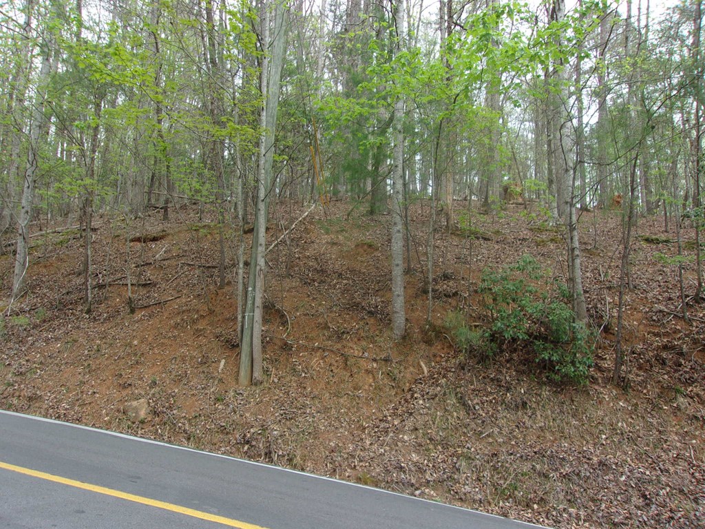 403143 Ellijay Vacant Lot