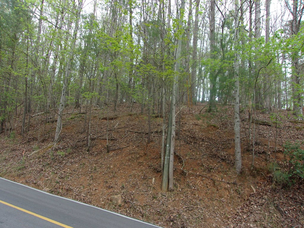 403143 Ellijay Land