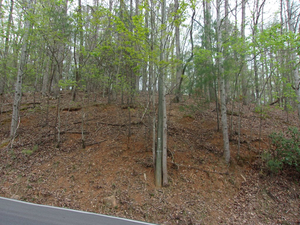 403143 Ellijay Vacant Lot