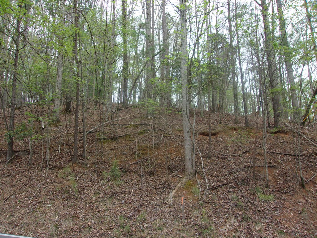 403143 Ellijay Land