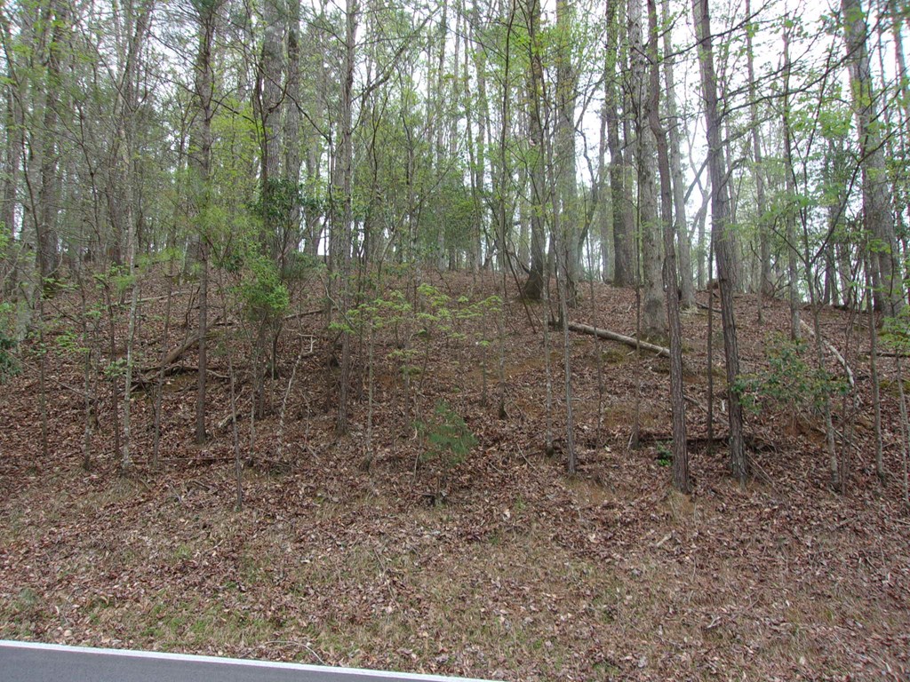 403143 Ellijay Land