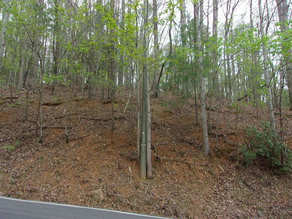 403143 Ellijay Vacant Lot