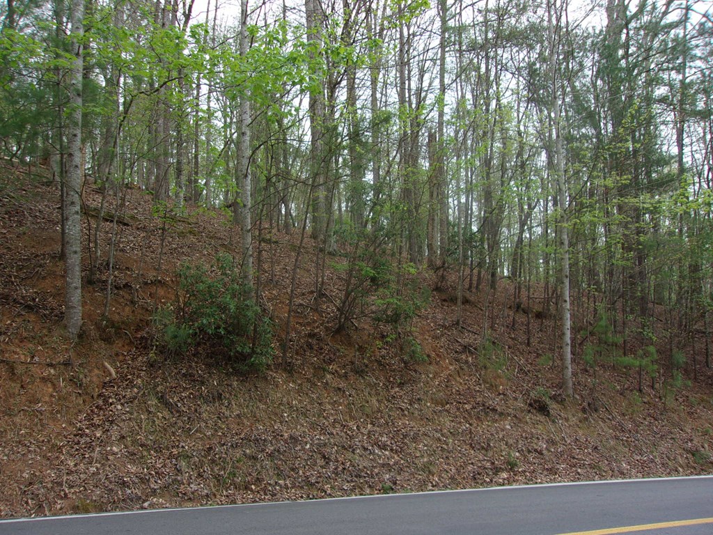 403143 Ellijay Vacant Lot