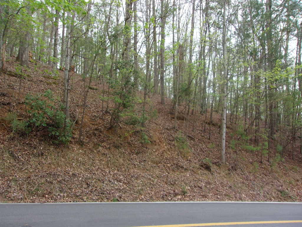 403143 Ellijay Vacant Lot