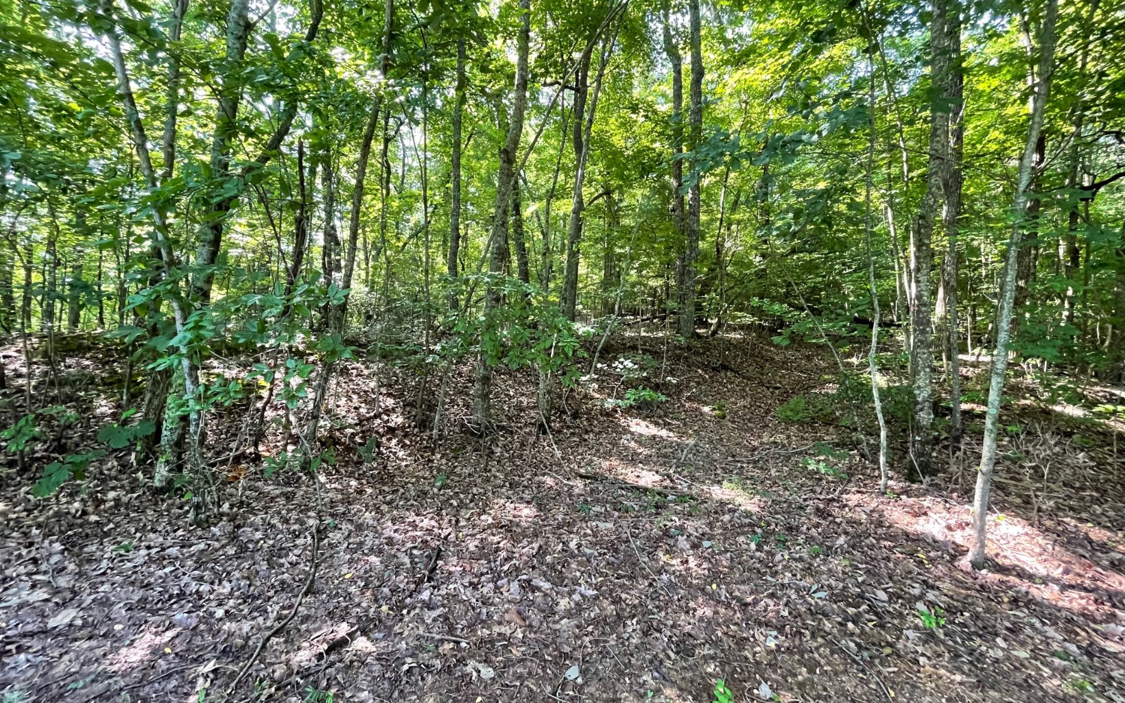 403159 Cleveland Land