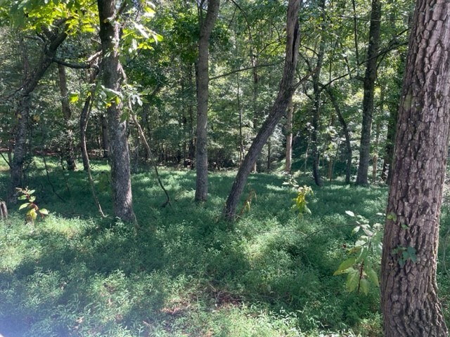 403350 Ellijay Vacant Lot