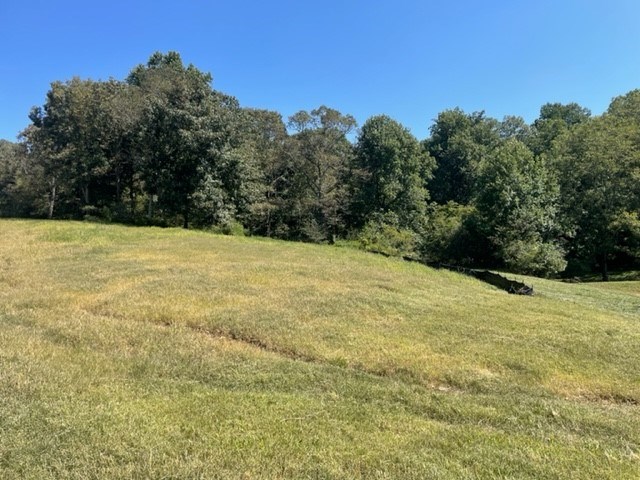 403350 Ellijay Land