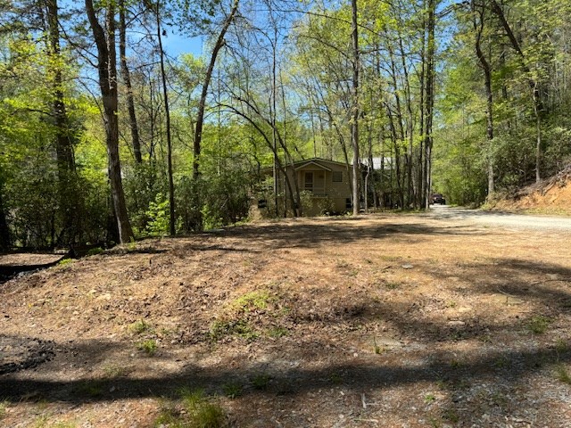 403351 Blue Ridge River Front Lot