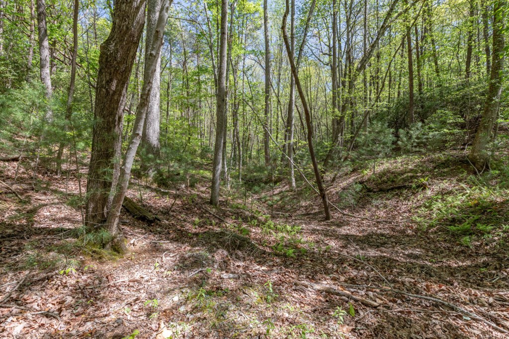 403360 Ellijay Vacant Lot