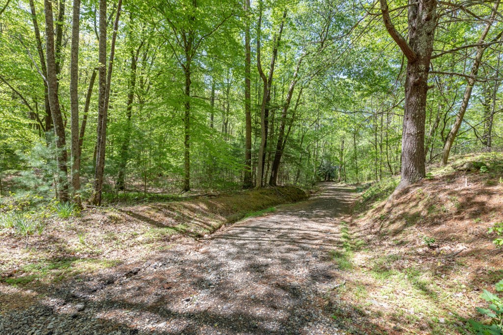 403360 Ellijay Vacant Lot