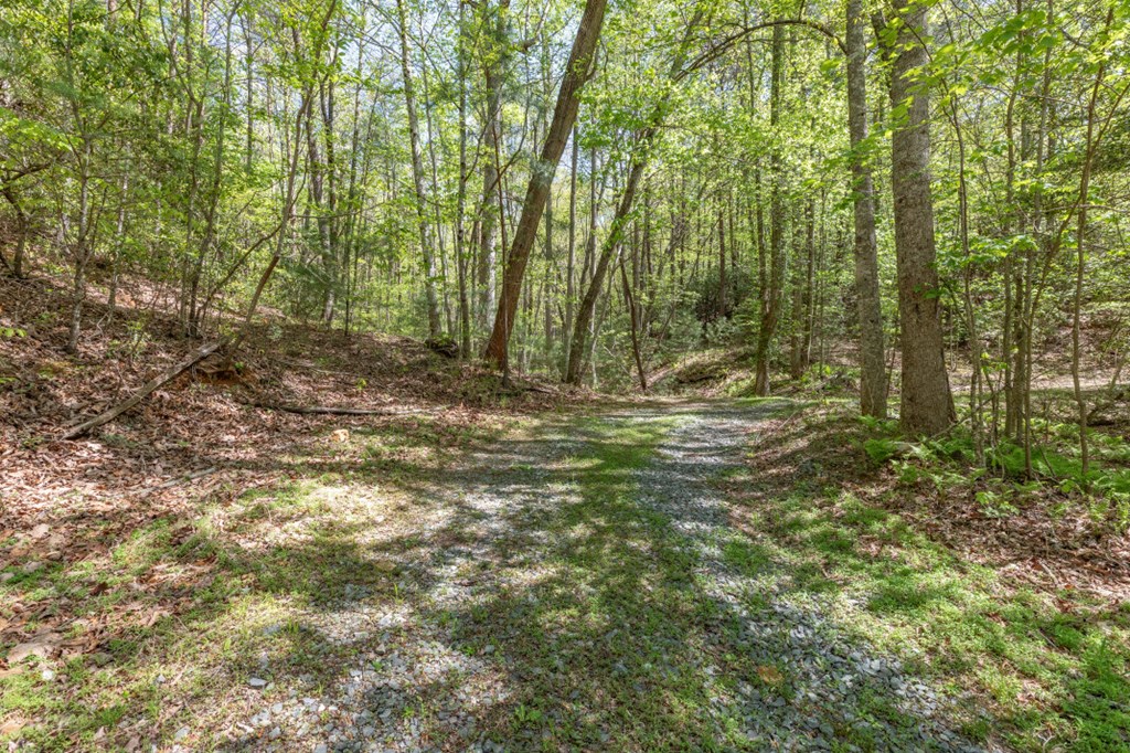 403360 Ellijay Vacant Lot