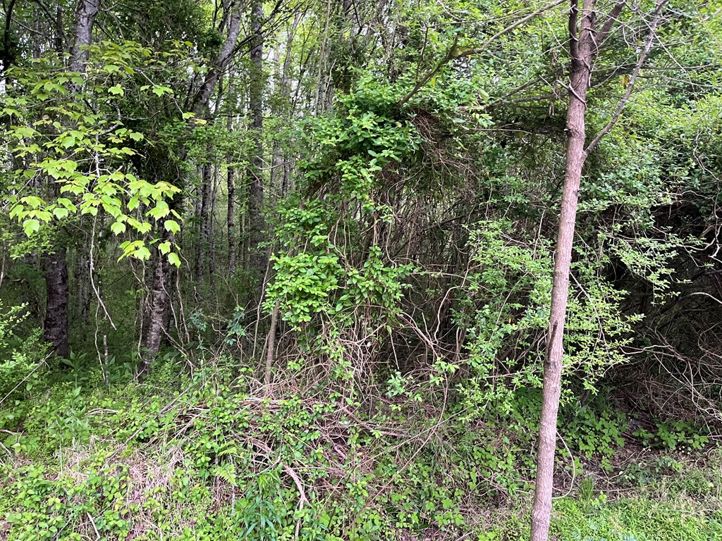 403420 Hayesville Land