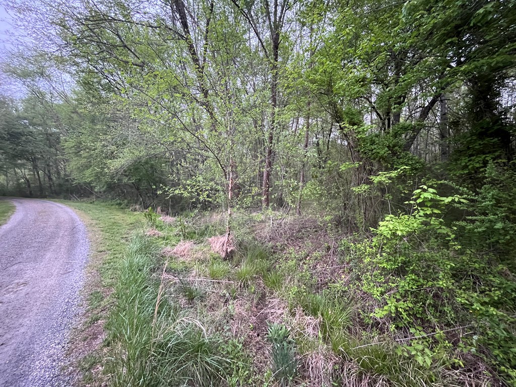 403420 Hayesville Land