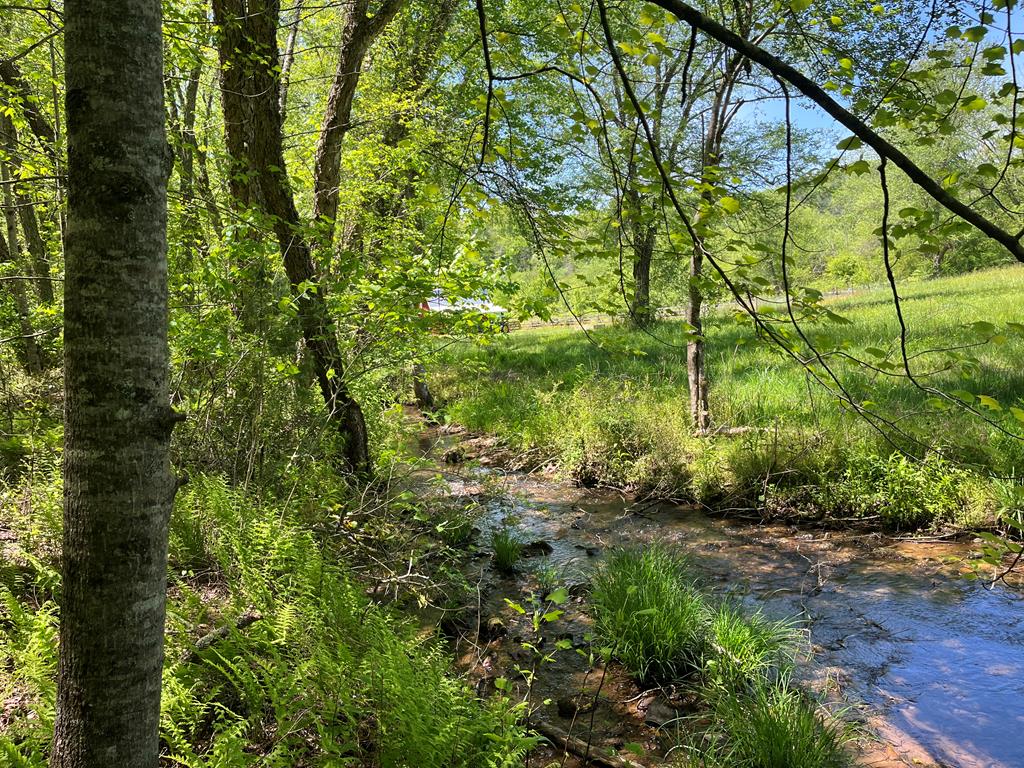 403420 Hayesville Land