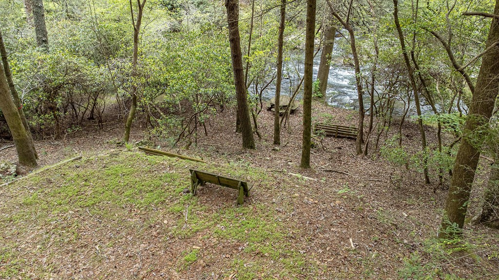 403442 Ellijay Vacant Lot