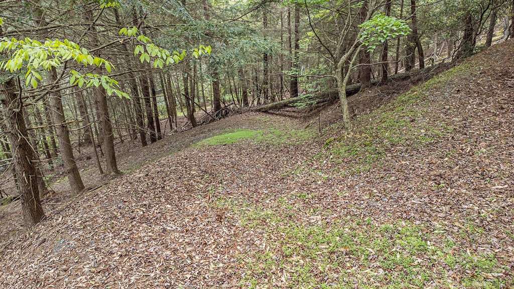 403442 Ellijay Vacant Lot