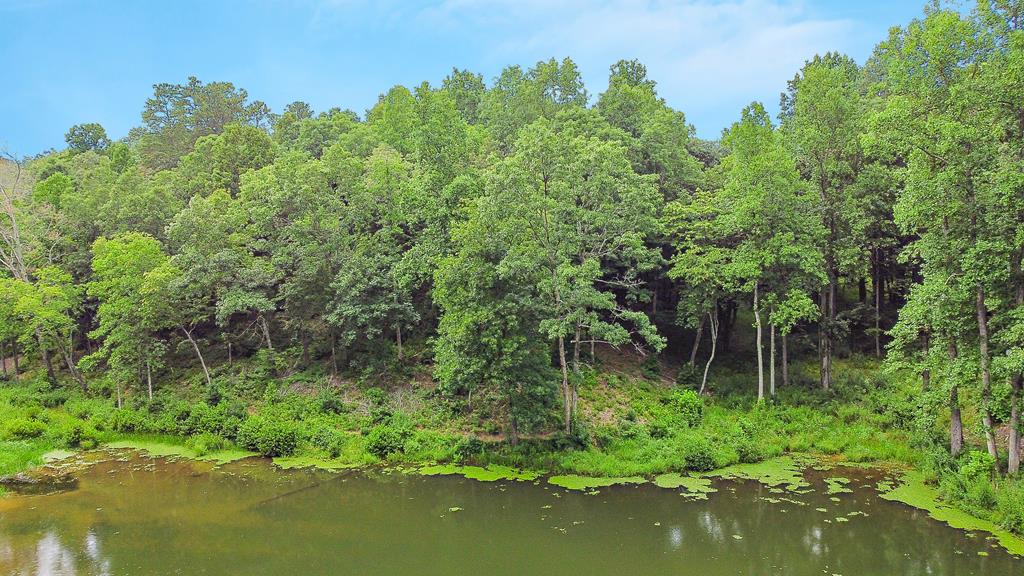 403445 Ellijay Lakefront Lot