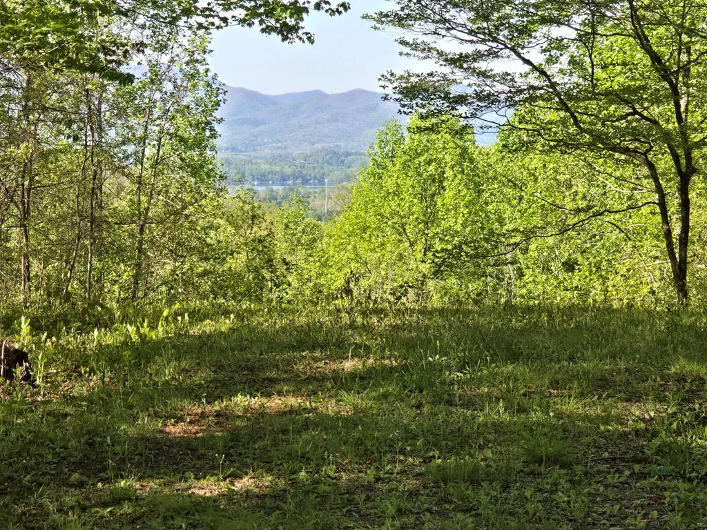 403450 Hayesville Vacant Lot