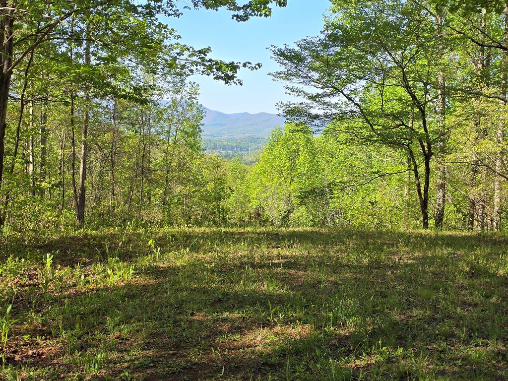 403450 Hayesville Vacant Lot