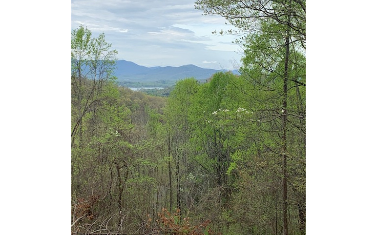 403450 Hayesville Vacant Lot