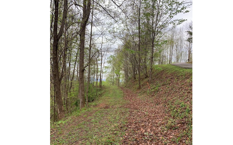 403450 Hayesville Land