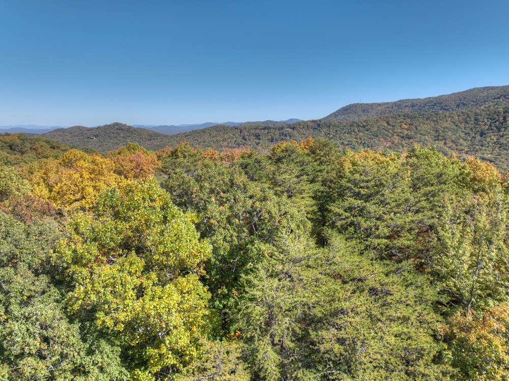 403492 Blue Ridge Acreage