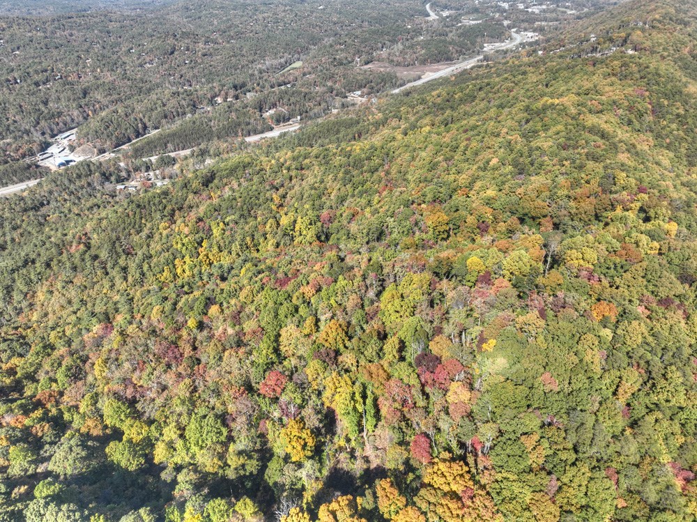 403492 Blue Ridge Acreage