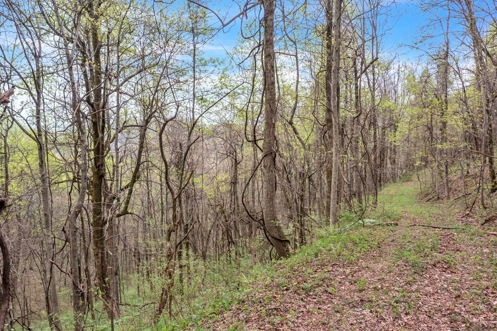 403494 Jasper Land