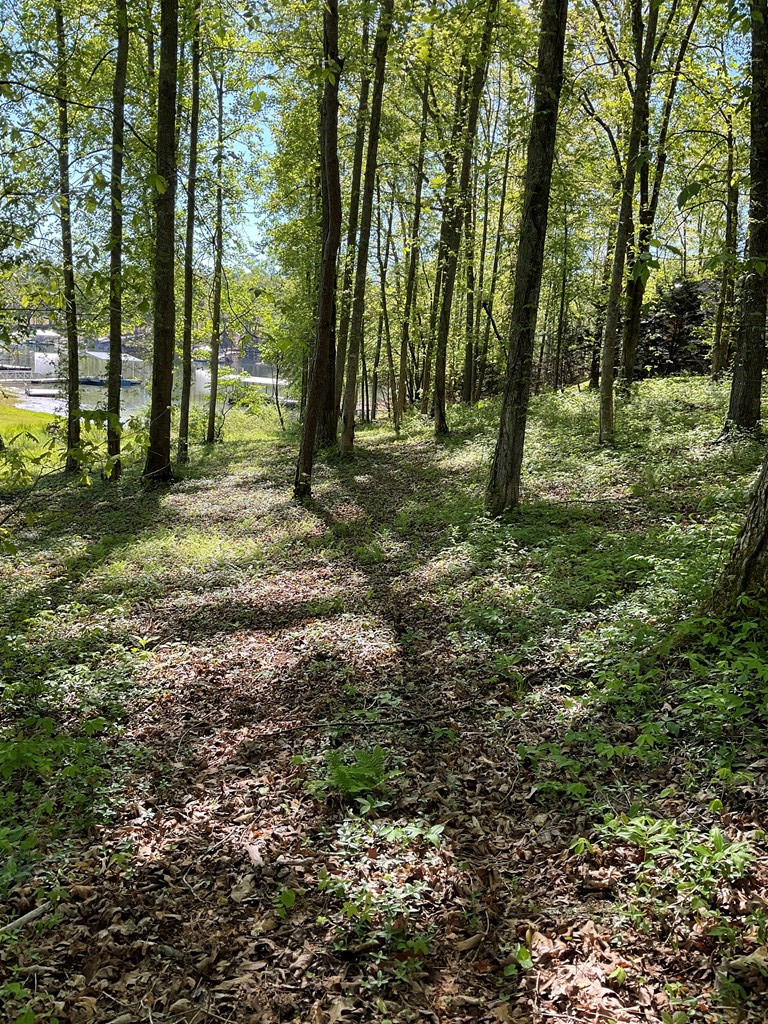 403516 Blairsville Land