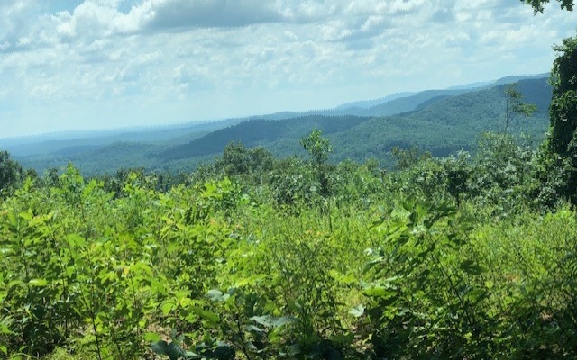 403518 Ellijay Land