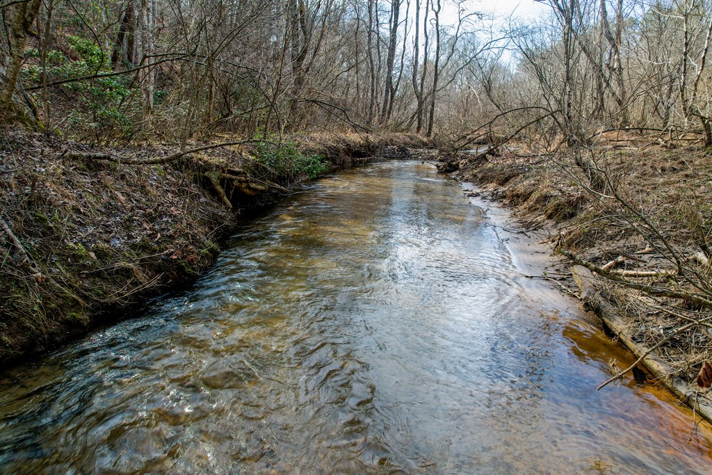 403527 Mineral Bluff Acreage