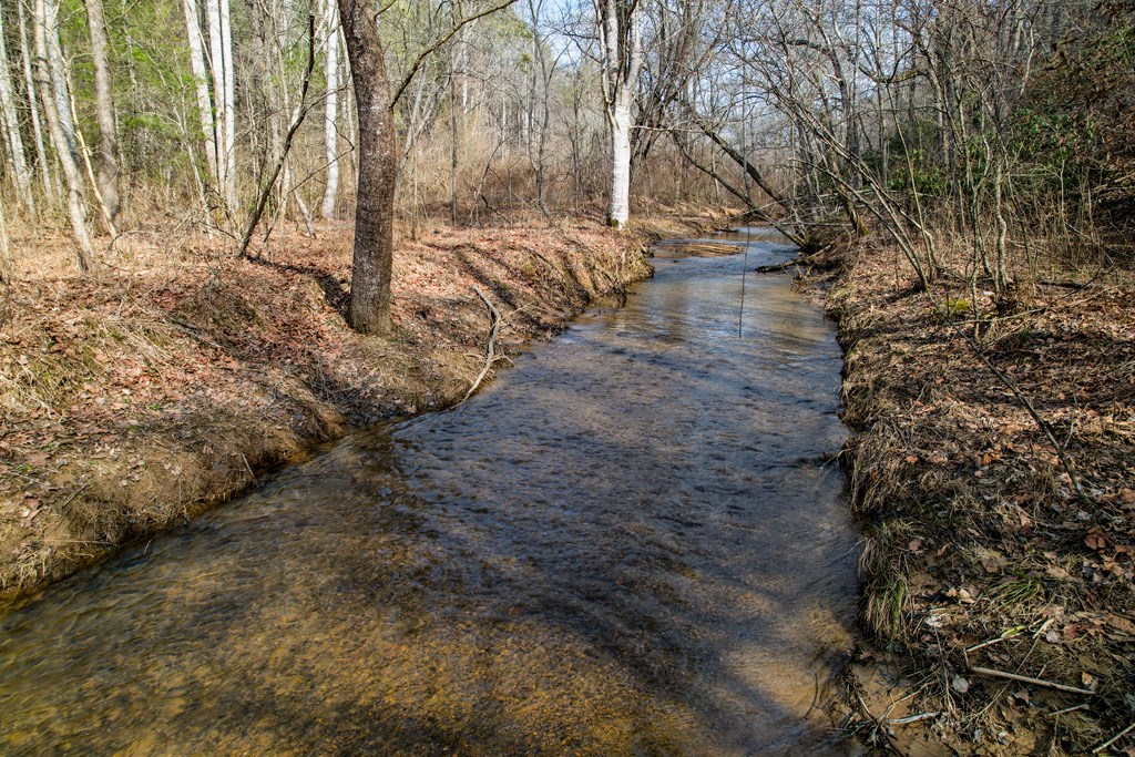 403527 Mineral Bluff Acreage