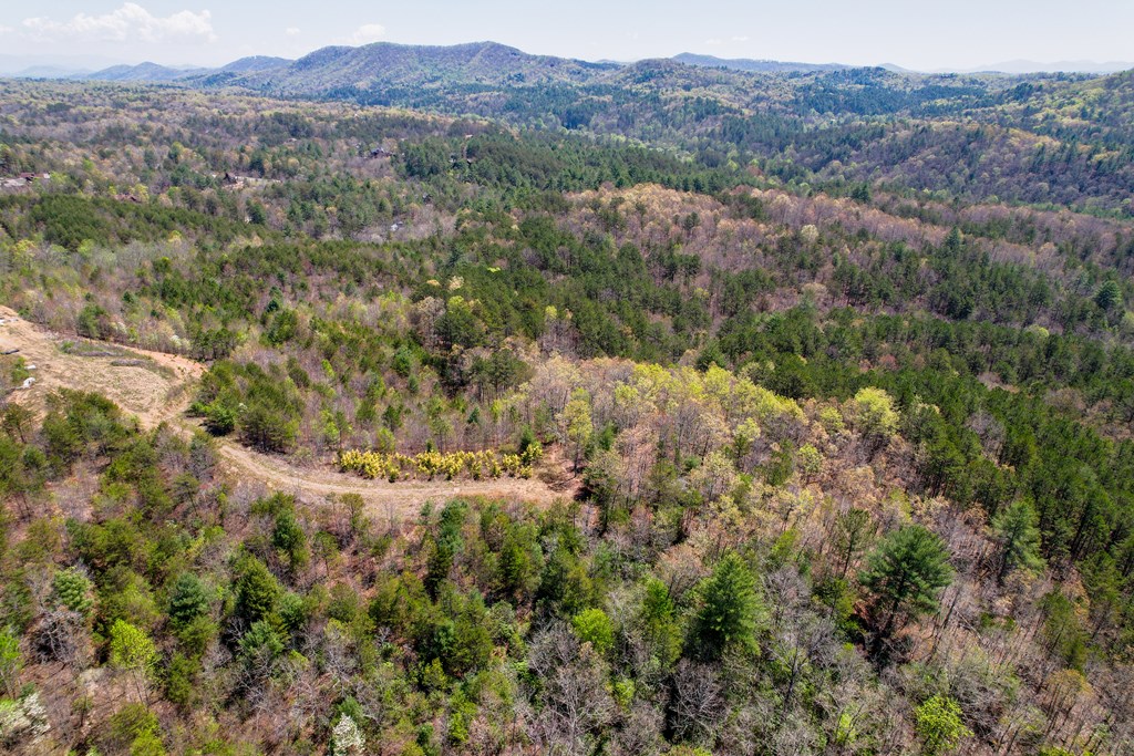 403527 Mineral Bluff Acreage