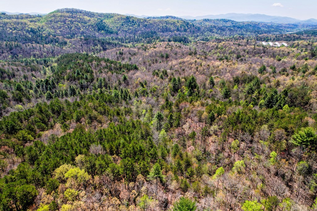 403527 Mineral Bluff Acreage